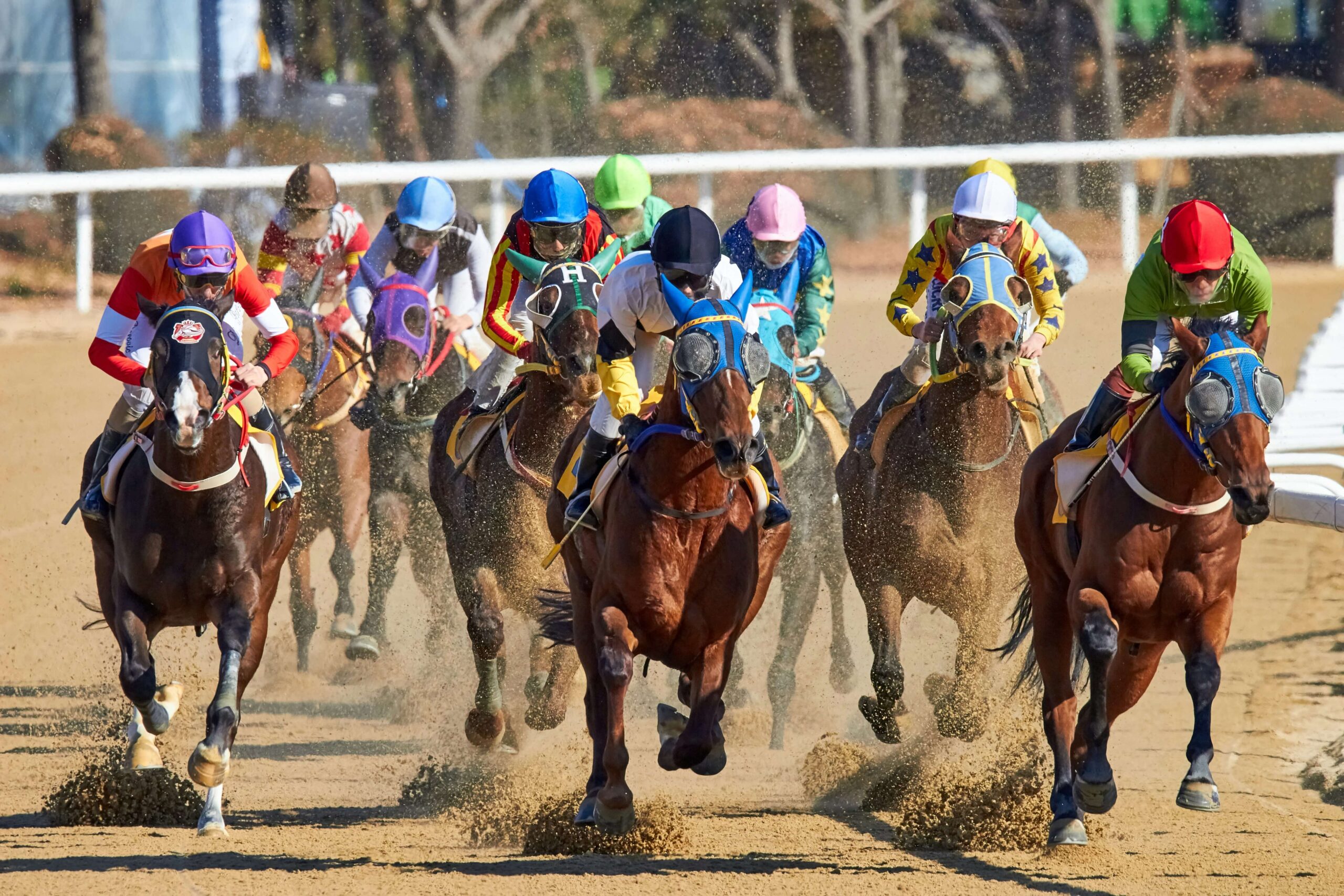 Horse Racing in Australia: